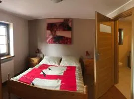 Apartament nad jeziorem z tarasem