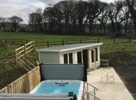 Aberystwyth, Pentre Farmhouse,