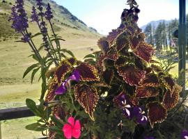 STUDIO en PLEINE MONTAGNE AVEC VUE SUR MARMOTTES，位于拉姆吉的酒店