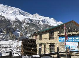 Himalayan lodge，位于Manangbhot的酒店
