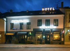 Hotel Solaster Garni，位于特热比奇的酒店