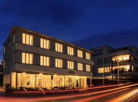 Hotel Rynach，位于赖纳赫的酒店