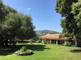 Agriturismo Su Pirastru