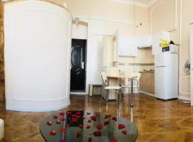 Apartment in the city center