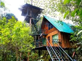 Khao Sok Tree House Resort