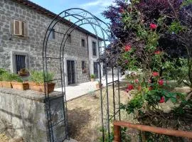 B&B Paternocchio