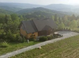 Mountain cabin