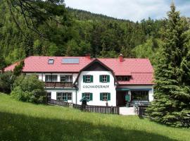 Landhaus Gschaiderhof，位于施内贝格山麓普赫贝格施耐伯格火车站附近的酒店