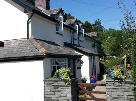 Canol y Llan