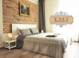 Emi apartment，位于维尔纽斯的酒店