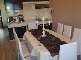 Guest House Ileana，位于萨帕雷瓦巴尼亚的自助式住宿