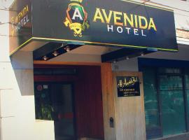 Avenida Hotel，位于胡宁的酒店