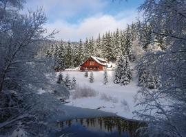 Jezírko lesní restaurant & penzion，位于亚希莫夫Lanová dráha Klínovec附近的酒店