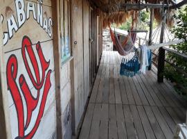 cabañas lili，位于Paso Nuevo的酒店