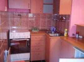 Margit kulcsosház，位于Rareş的酒店