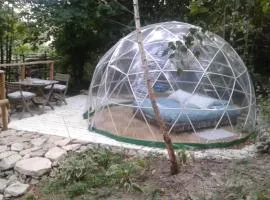 bulle sous les etoiles