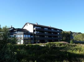 Fjelltun Fritidsleiligheter, leilighet 407，位于耶卢Hallingskarvet Ski Lift 2附近的酒店