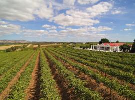 1837 Barossa Luxury Vineyard Cottages，位于林道的Spa酒店