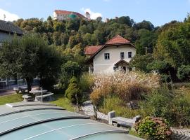 莫斯特公寓，位于Wernstein am Inn的酒店