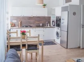 Downtown pedestrian zone apartment