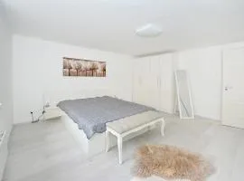 Pure Apartman Pécs