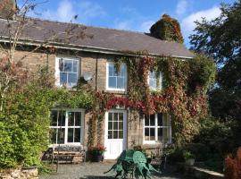 Pen y Crug Cottage，位于Llanafan-fawr的宠物友好酒店