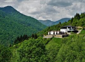 Hotel Panorama Rugove，位于佩奇的酒店