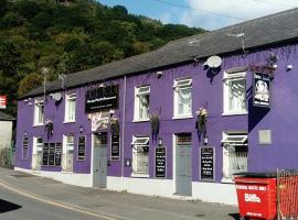 The Ivor Hael Hotel，位于Llwyn-y-pia的酒店