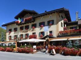 Hotel Alpina，位于利维尼奥的酒店