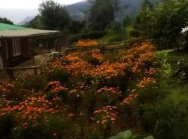 Vamoose Dilpali Homestay