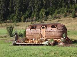 Igluhut Tiny House Winterberghof，位于Vöhrenbach的小屋