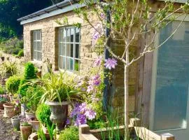 Lavender cottage