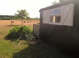 Pipowagen Lidewei Groningen Westerwolde unieke ligging met eigen tuin en vrij uitzicht over veld naar natuurgebied