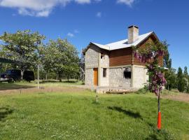 Alauri Ñire，位于Huinganco的酒店