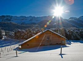 Chalet du champ Martel，位于维拉尔-德朗的酒店