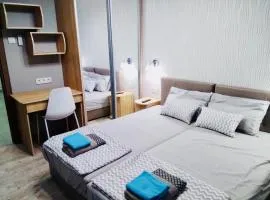 Apartment for rent in the city center of Kharkiv K18 Elinaflats