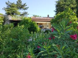 Rêve de Provence Villa avec jardin et piscine，位于福卡尔基耶的乡村别墅