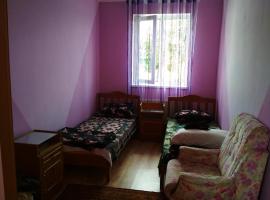 Приватна садиба，位于Netishyn的酒店