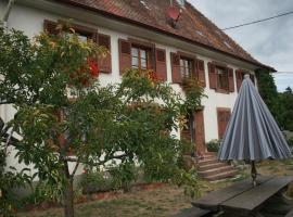 Maison d'Alsace，位于Breitenbach-Haut-Rhin的家庭/亲子酒店