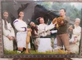 戴一夏民宿