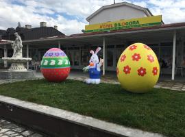 Hotel Bilogora，位于Grubišno Polje的酒店