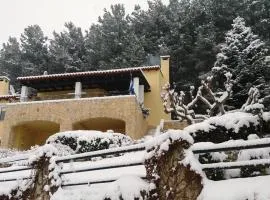 Six Steps From The Forest