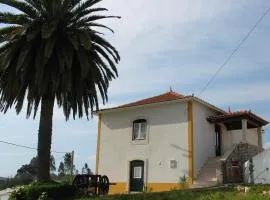 Casa da Palmeira