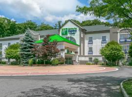 Holiday Inn Express & Suites，位于阿灵顿山的酒店
