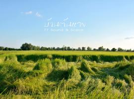 Baan Tonjaeng B&B，位于Chai Nat的酒店