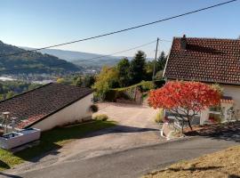 Gîte de Bellevue Maison Traditionnelle Vosgienne，位于普兰凡的酒店