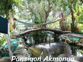 Akmonya Pansiyon，位于Eriklice的酒店
