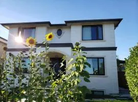 Metropolis MetroTown Area lovely place 2 or 1 bedrooms suite