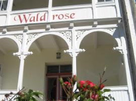 Pension Waldrose，位于奥斯赛拜-塞林的旅馆