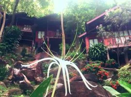 皮皮岛绿山度假村
